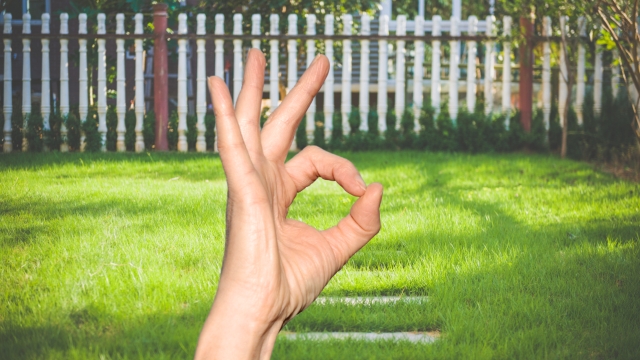 giardino libero dalle zanzare