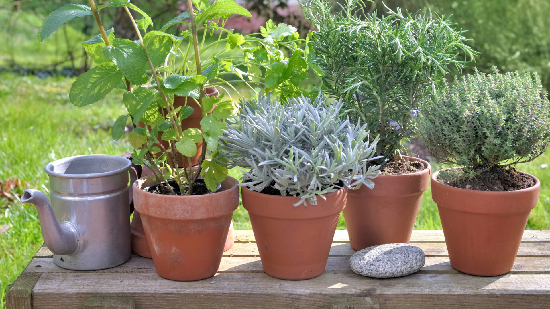 i migliori vasi da giardino, vasi da giardino, vasi