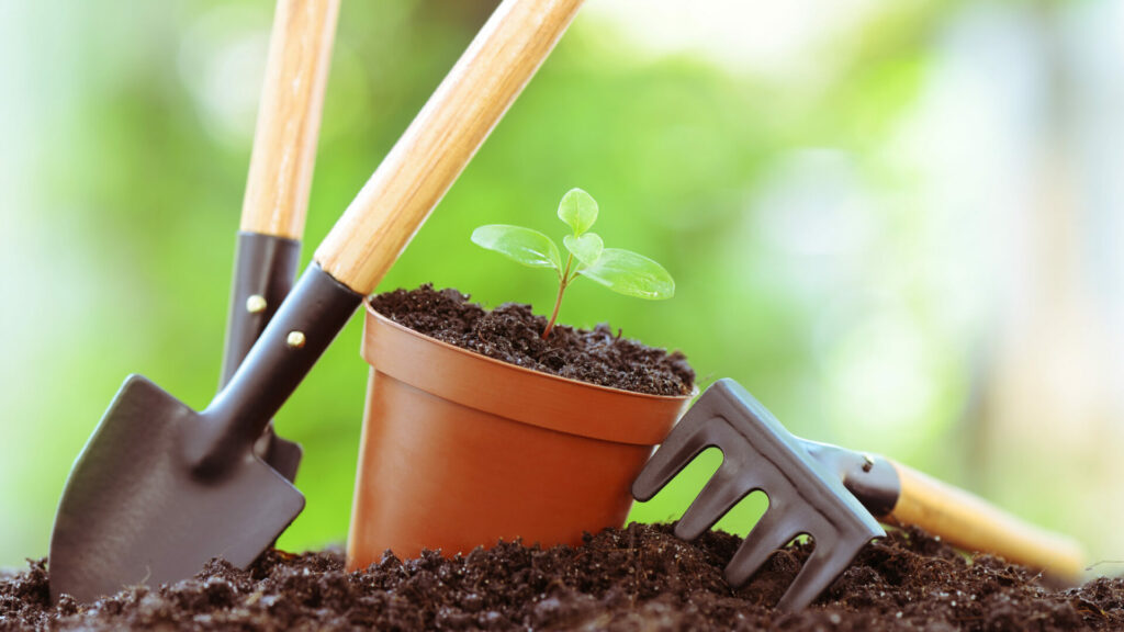 i migliori vasi da giardino, vasi da giardino, vasi