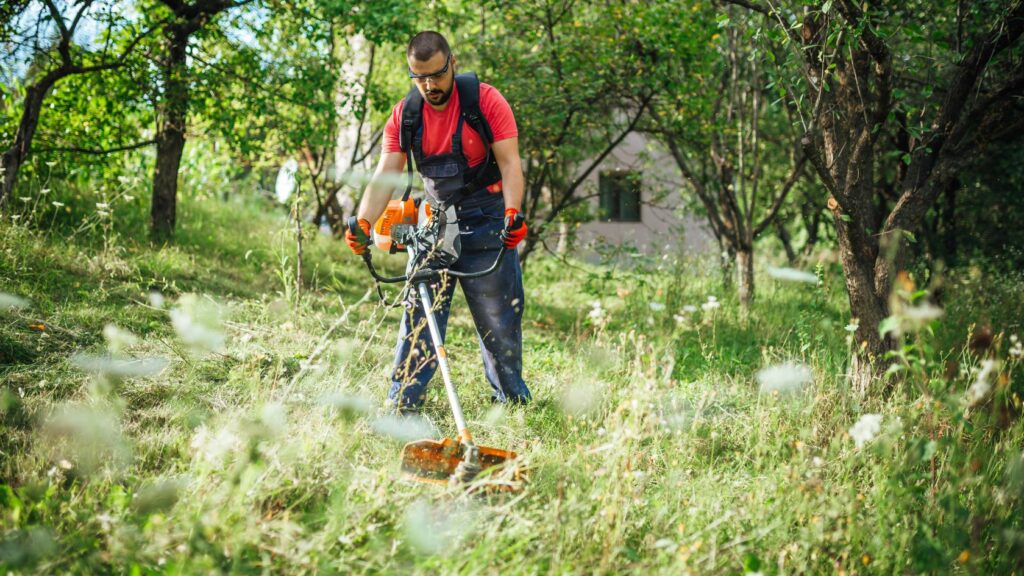 Come scegliere il giusto decespugliatore, decespugliatore, persona che taglia l'erba