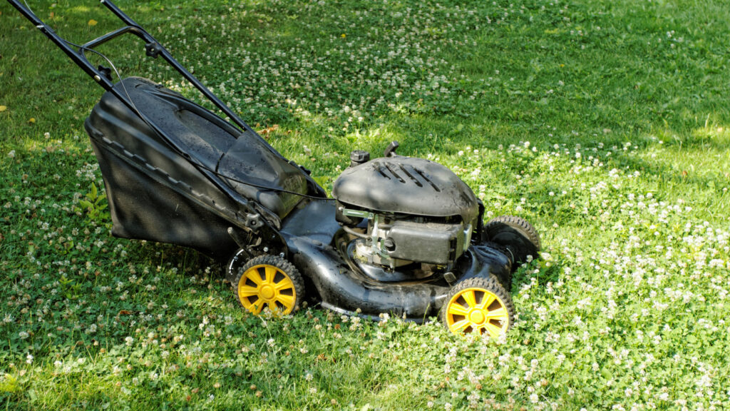 migliori tagliaerba a scoppio, miglior tagliaerba a scoppio,