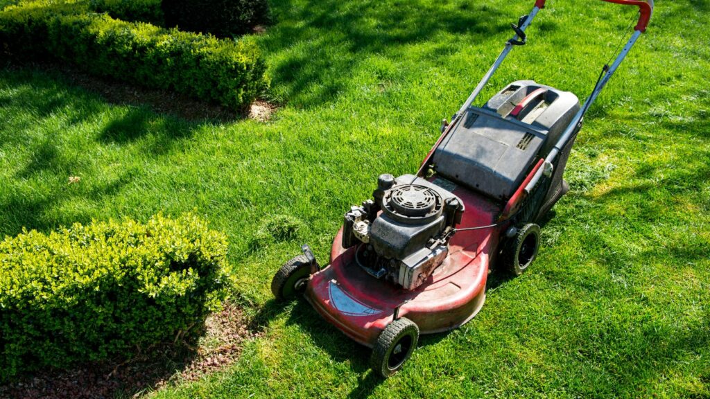 Miglior tagliaerba per piccoli giardini, tagliaerba con motore a scoppio