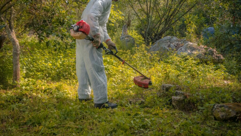 Come tagliare rovi con il decespugliatore, come usare il decespugliatore per tagliare i rovi, esperto al lavoro per tagliare i rovi nell'erba