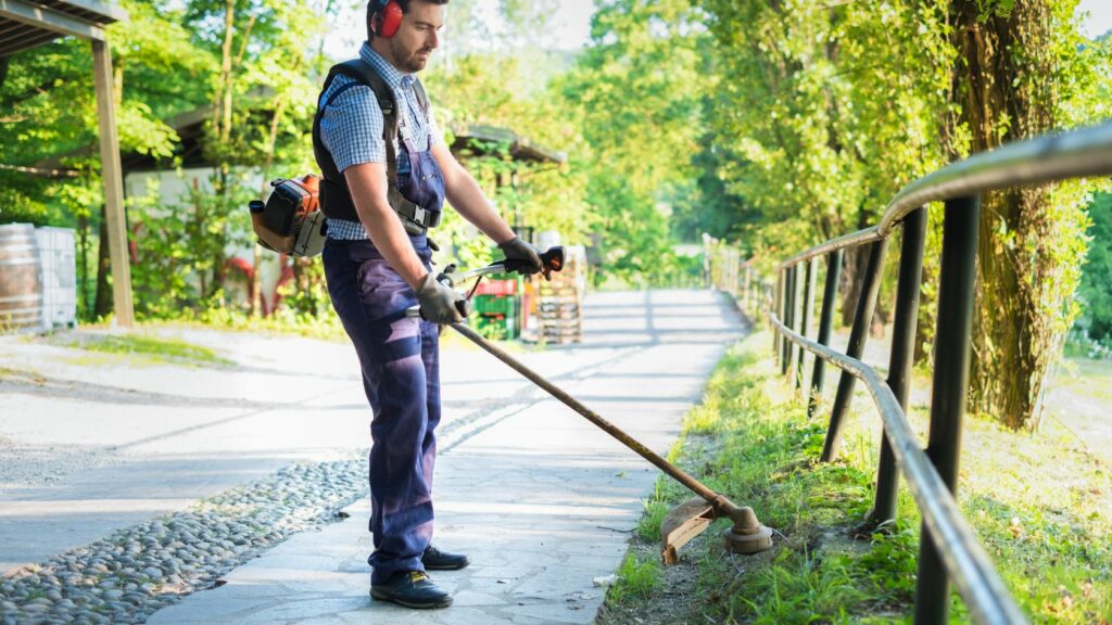 I migliori tagliabordi, acquista migliori tagliabordi