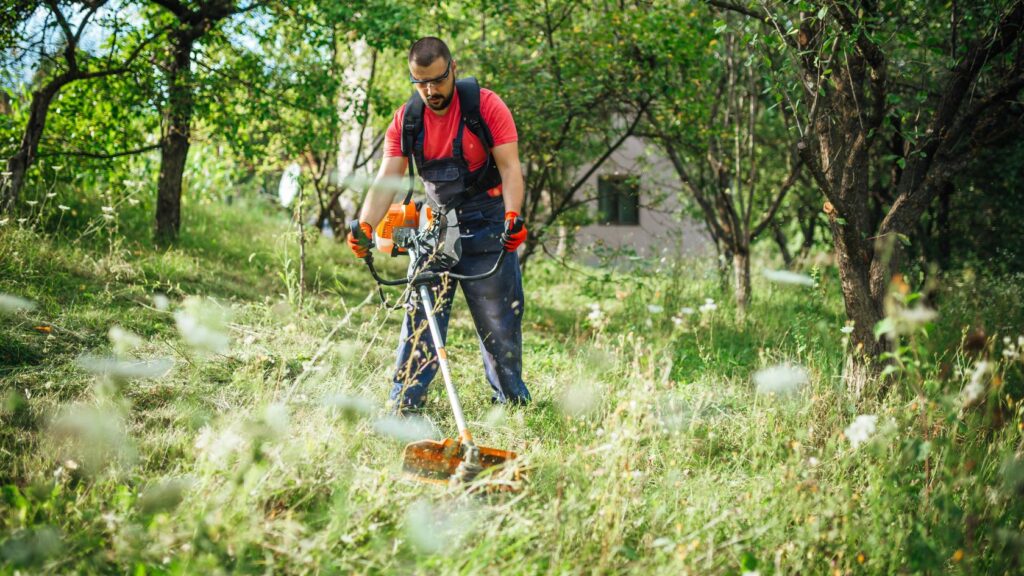 Impugnatura decespugliatore, impugnatura doppia